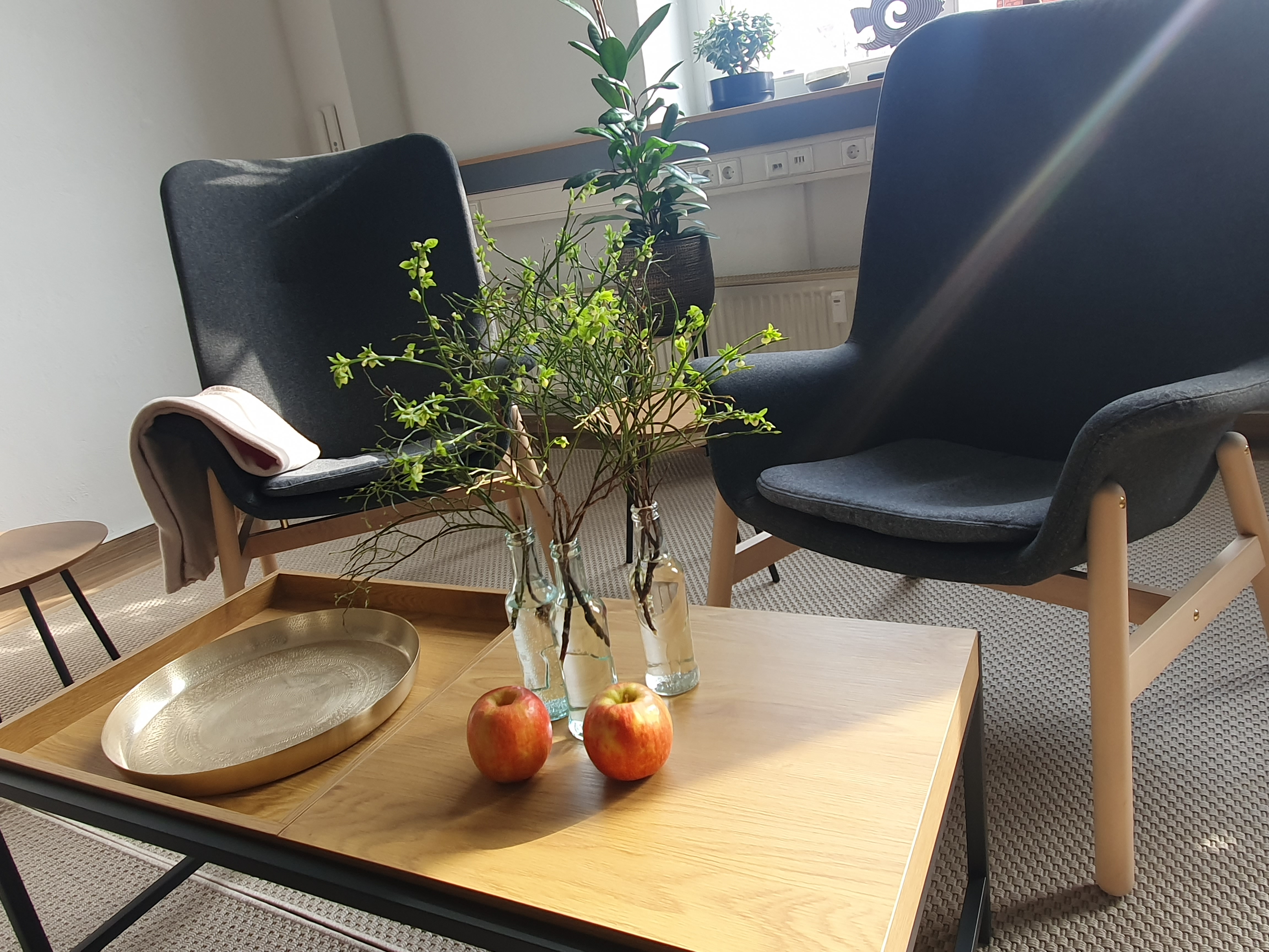 Hell eingerichteter Praxisraum für Psychotherapie in Dresden Neustadt