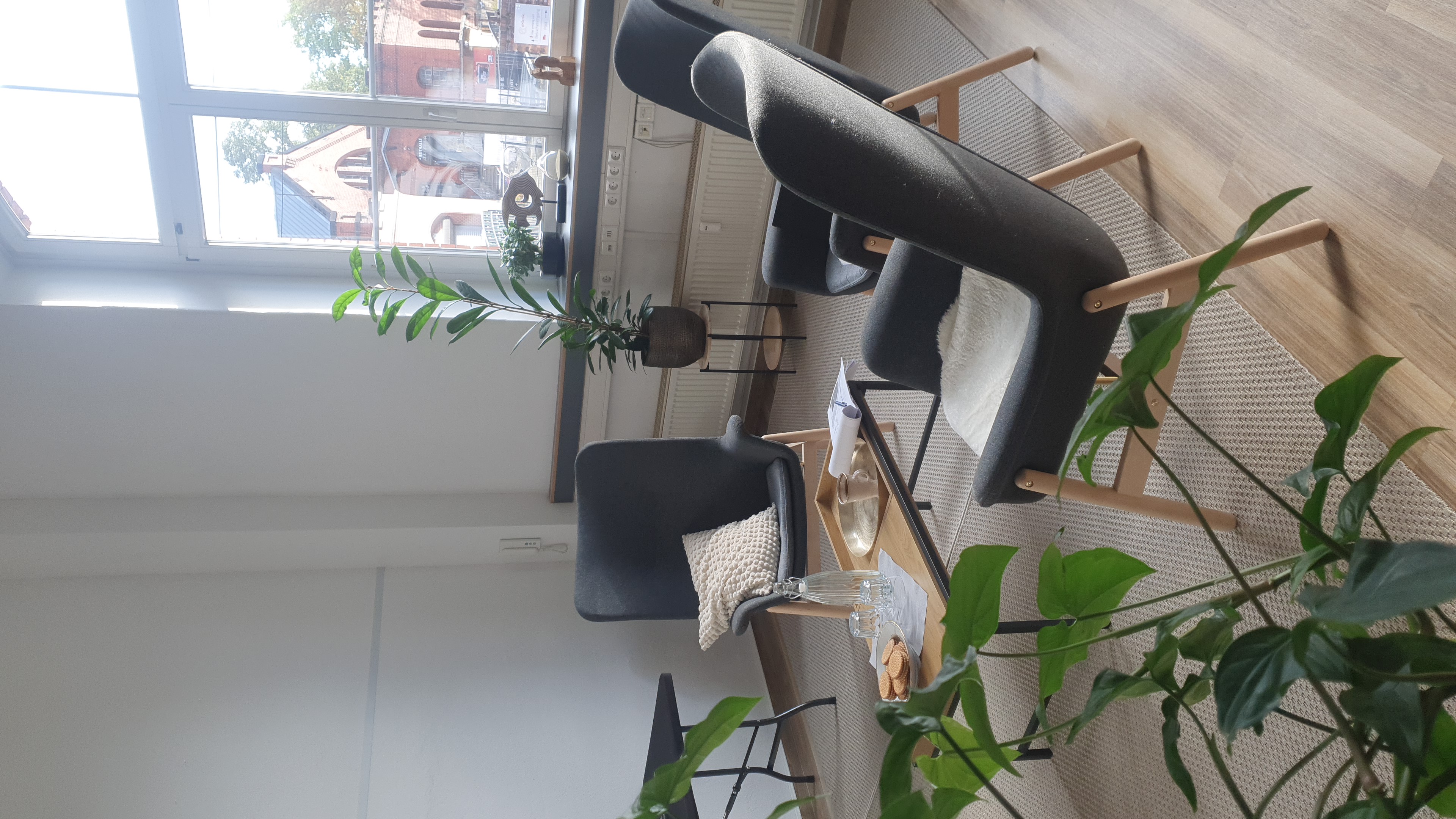 Detailansicht der Räumlichkeiten für Heilpraktiker für Psychotherapie in Dresden
